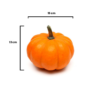 Calabaza pequeña Importada de 1.5 a 2 libras