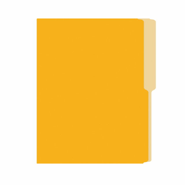 FOLDER FLASHFILE CARTA AMARILLO ORO (5X100)