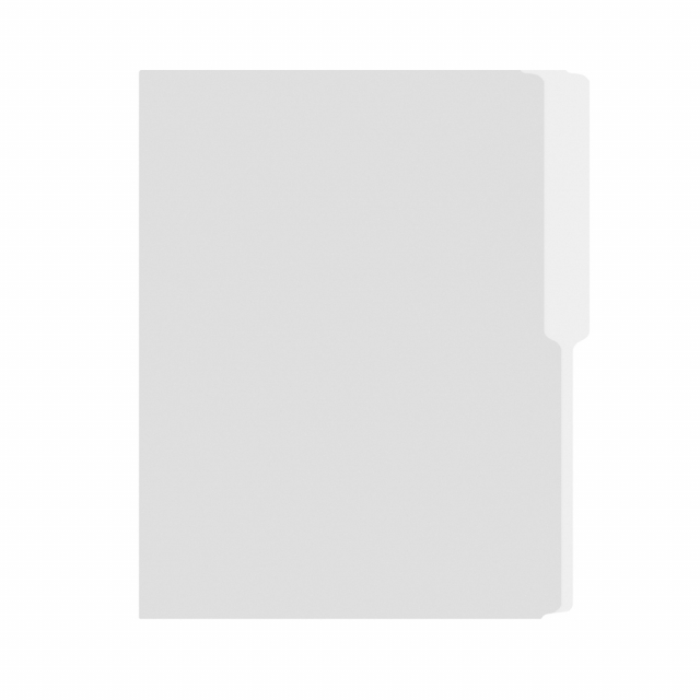 FOLDER FLASHFILE CARTA BLANCO (5X100)