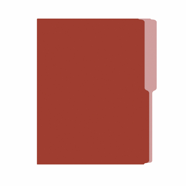 FOLDER FLASHFILE CARTA MARRON (5X100)