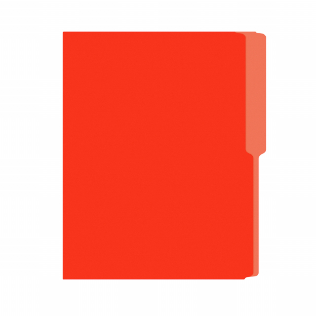 FOLDER FLASHFILE CARTA NARANJA (5X100)