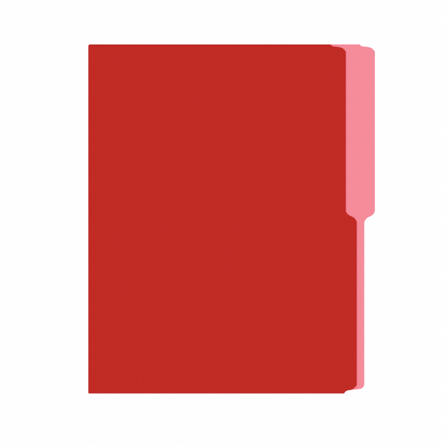 FOLDER FLASHFILE CARTA ROJO (5X100)