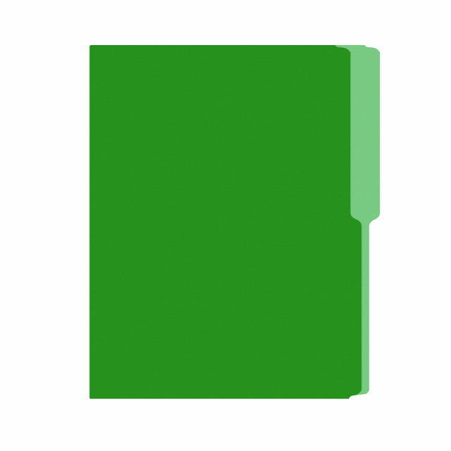 FOLDER FLASHFILE CARTA VERDE (5X100)
