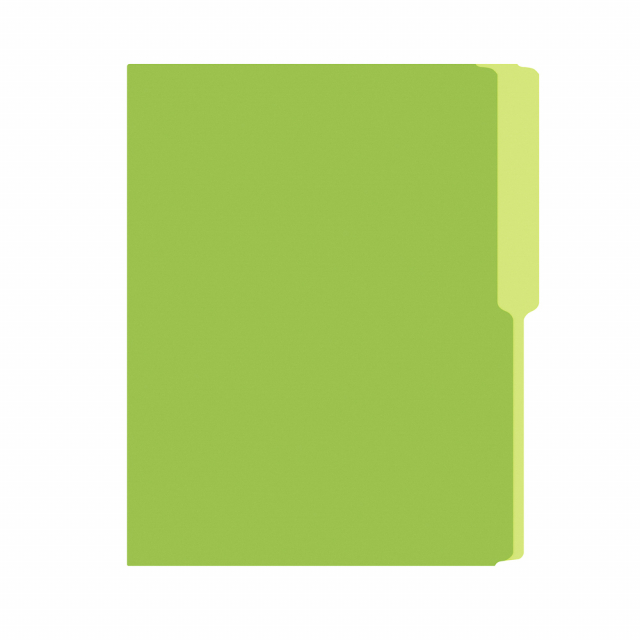FOLDER FLASHFILE CARTA VERDE LIMON (5X100)