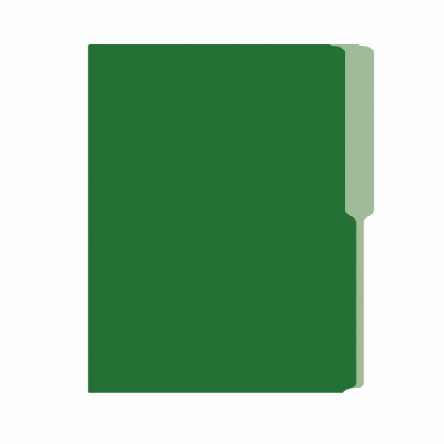 FOLDER FLASHFILE CARTA VERDE OBSCURO (5X100)