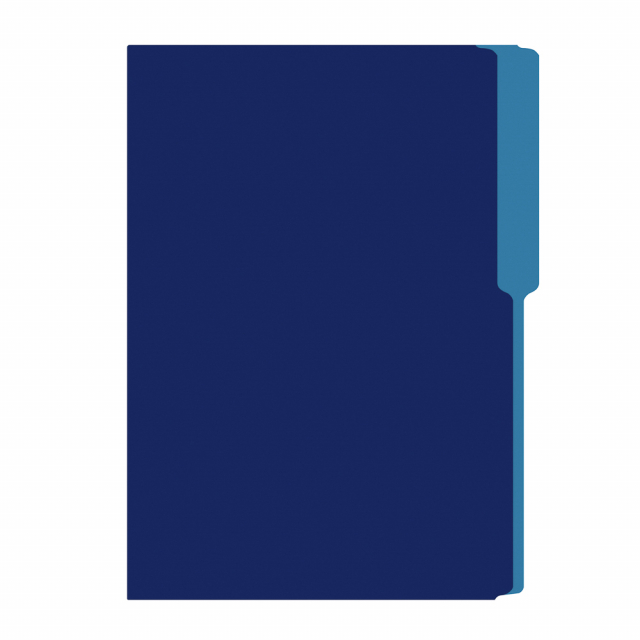 FOLDER FLASHFILE OFICIO AZUL MARINO (5X100)