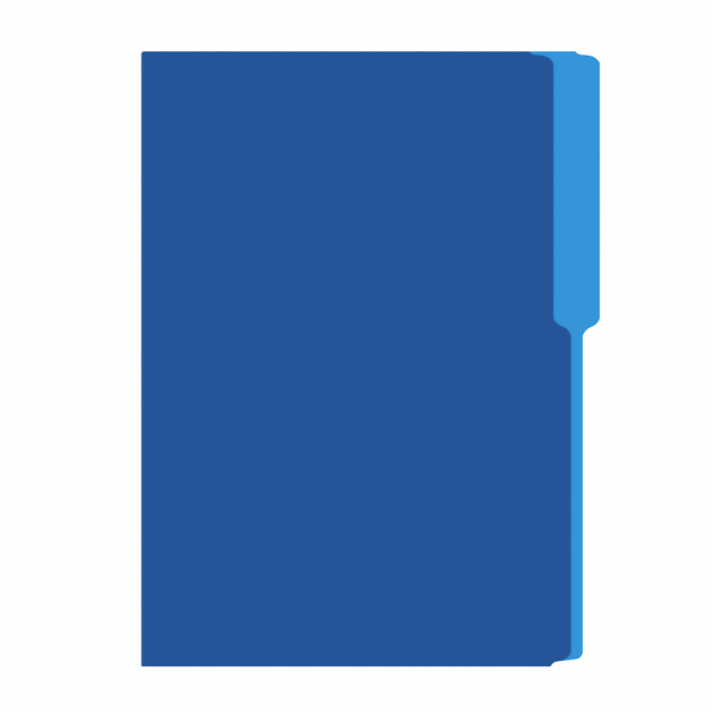 FOLDER FLASHFILE OFICIO CELESTE (5X100)