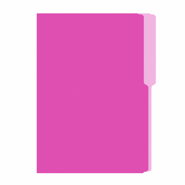 FOLDER FLASHFILE OFICIO FUCSIA (5X100)