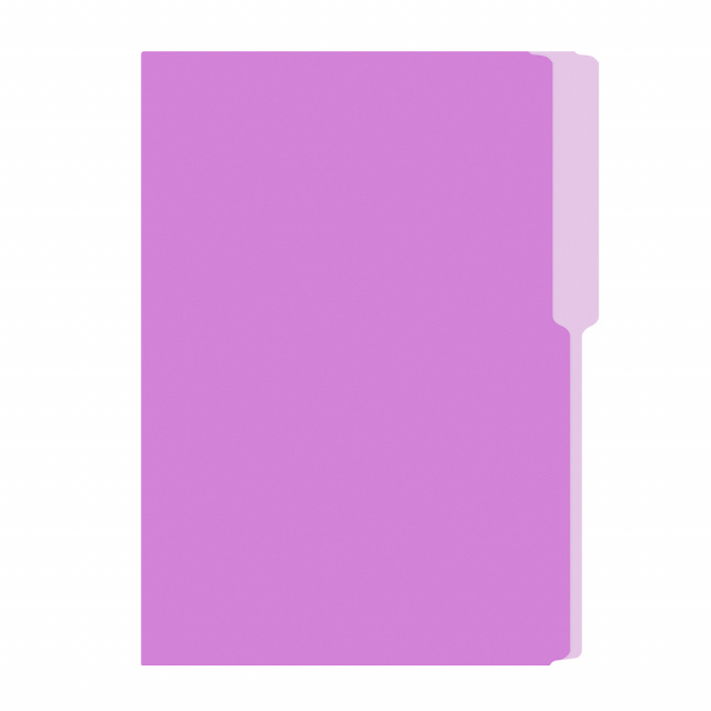 FOLDER FLASHFILE OFICIO LILA (5X100)
