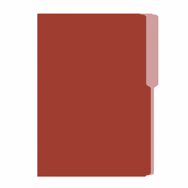 FOLDER FLASHFILE OFICIO MARRON (5X100)