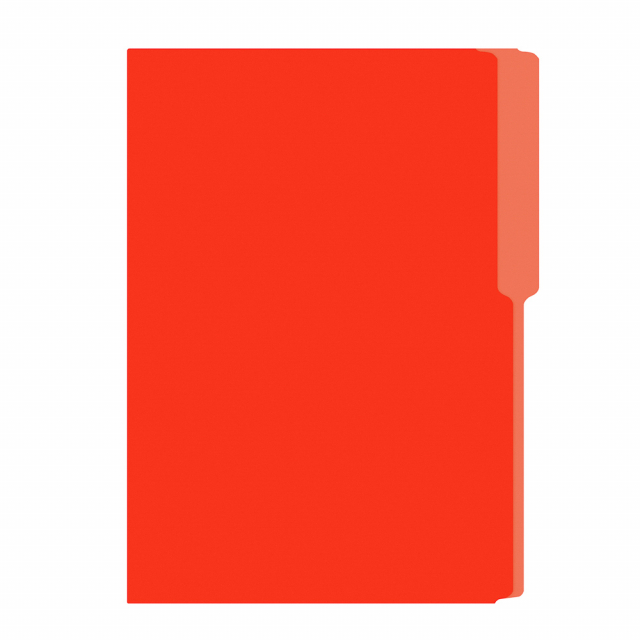 FOLDER FLASHFILE OFICIO NARANJA (5X100)