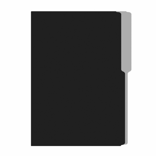 FOLDER FLASHFILE OFICIO NEGRO (5X100)