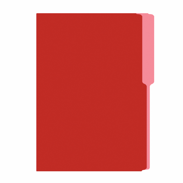 FOLDER FLASHFILE OFICIO ROJO (5X100)