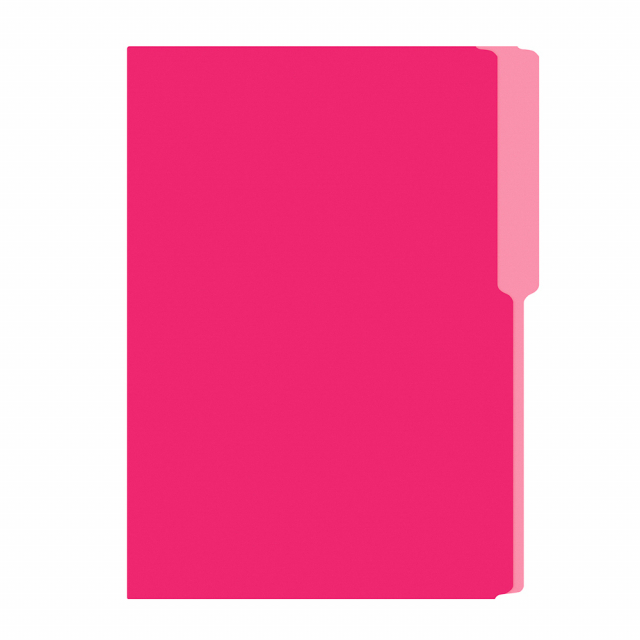 FOLDER FLASHFILE OFICIO ROSADO (5X100)