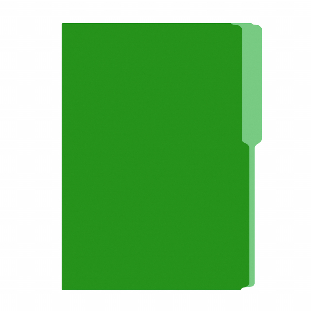 FOLDER FLASHFILE OFICIO VERDE (5X100)