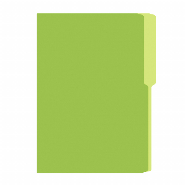FOLDER FLASHFILE OFICIO VERDE LIMON (5X100)