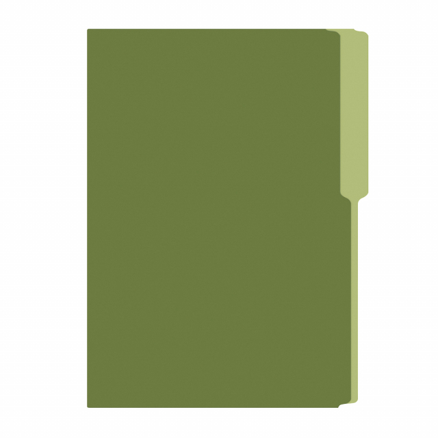 FOLDER FLASHFILE OFICIO VERDE OLIVO