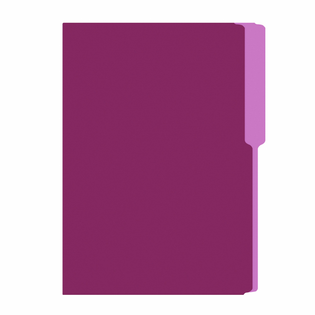 FOLDER FLASHFILE OFICIO VIOLETA (5X100)