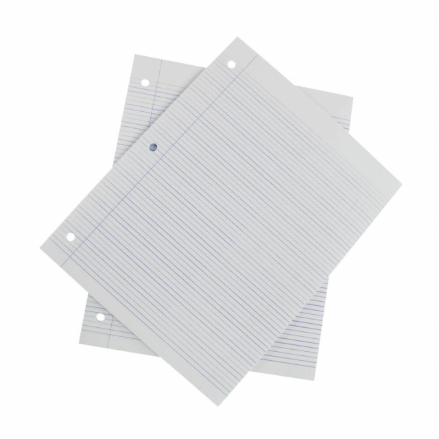 HOJAS CARTA PACASA BX100 DOBLE LINEA (12)