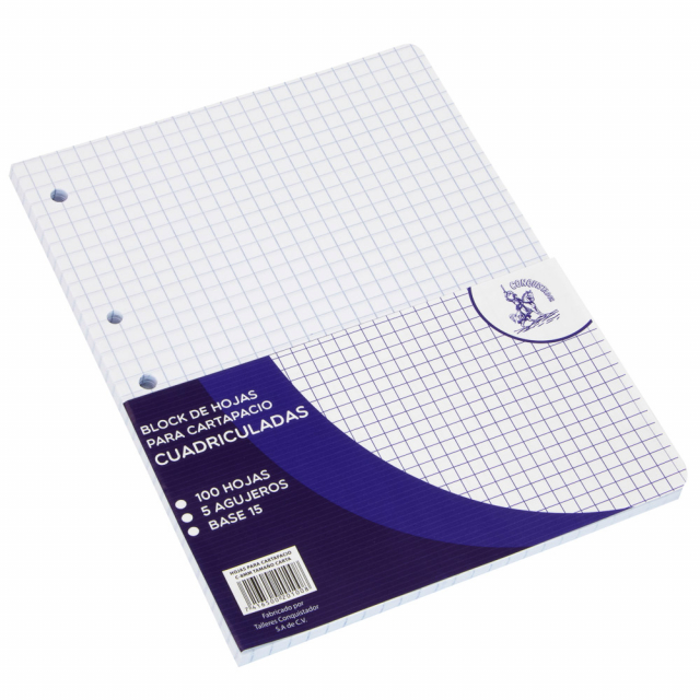 HOJAS CARTA CONQUISTADOR BX100 CUADROS (60)