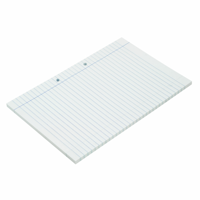 HOJAS OFICIO PACASA BX100 RAYADAS (12)