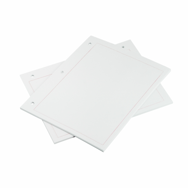 HOJAS CARTA PACASA BX100 MARGINADAS (12)
