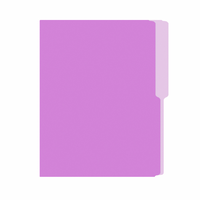 FOLDER FLASHFILE CARTA LILA (5X100)