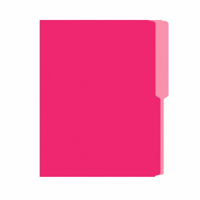 FOLDER FLASHFILE CARTA ROSADO (5X100)