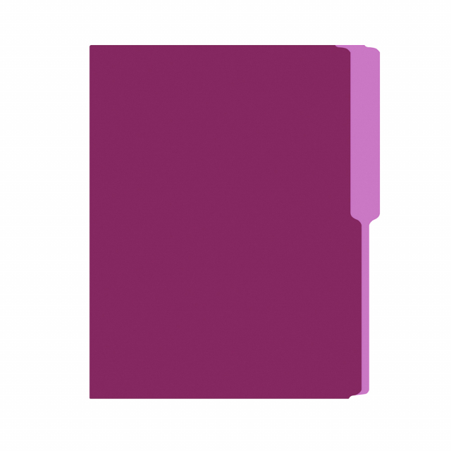 FOLDER FLASHFILE CARTA VIOLETA (5X100)