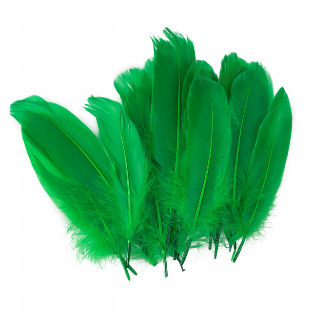 PLUMAS FAST GRANDES BOLSA CON 24U. VERDE (625)