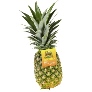 Piña Sweet Baby Calibre 6 1 UN