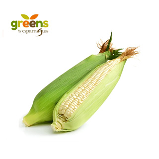 Greens Elote Blanco 1 un.
