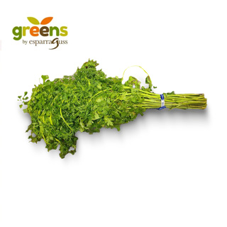 Greens Cilantro Sazón 1 un.