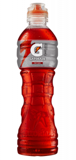 Gatorade Fruit Puch Sport 600 ml.